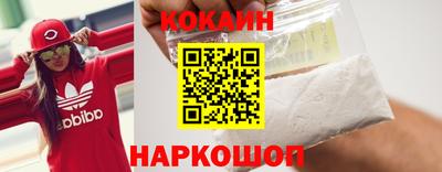сатива Кингисепп