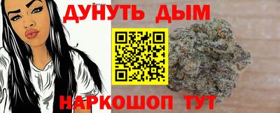 сатива Кингисепп