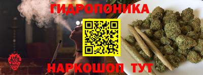 сатива Кингисепп