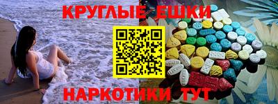 сатива Кингисепп