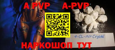 сатива Кингисепп
